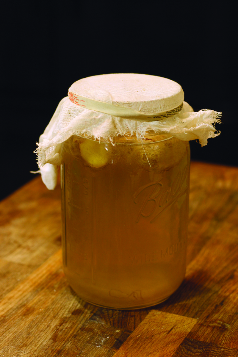 Create a Ginger Bug Starter Grit